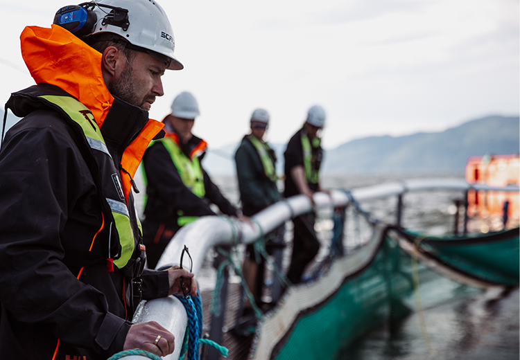 Bli en del av en global teknologileverandør til havbruksindustrien